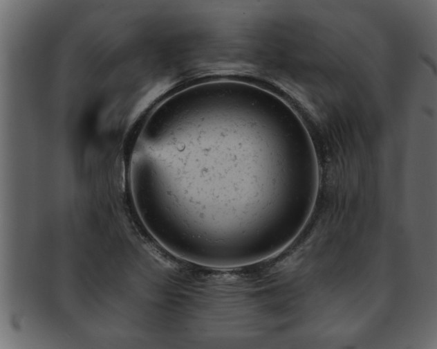 X0000093171317200709261520
