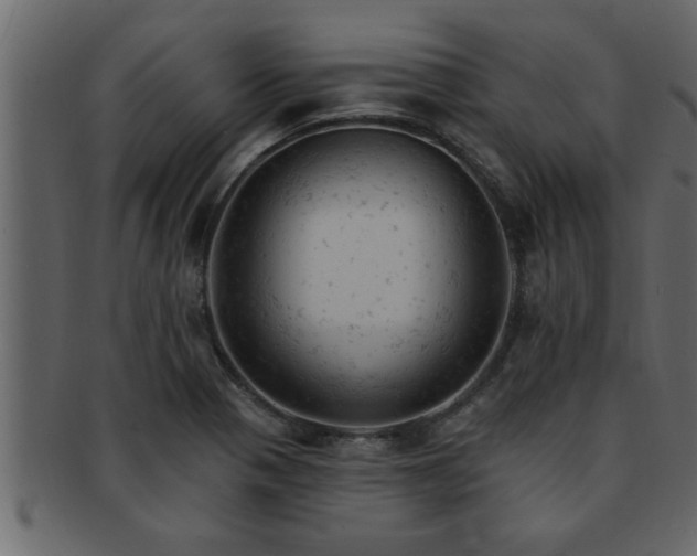 X0000093171321200709261520