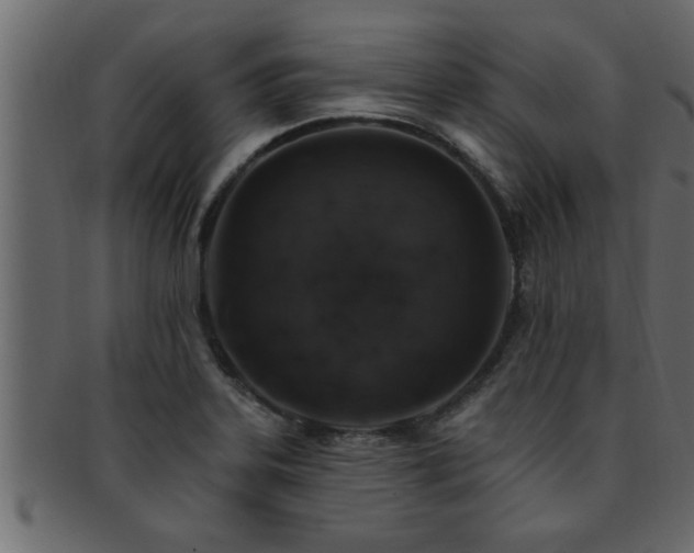 X0000093171323200709261520
