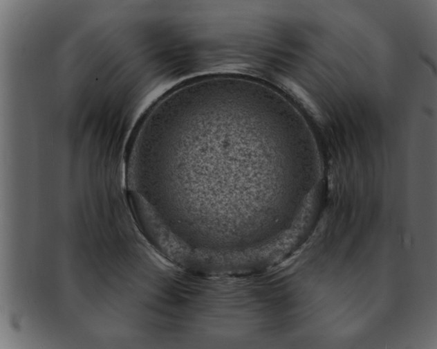 X0000093171324200709261521