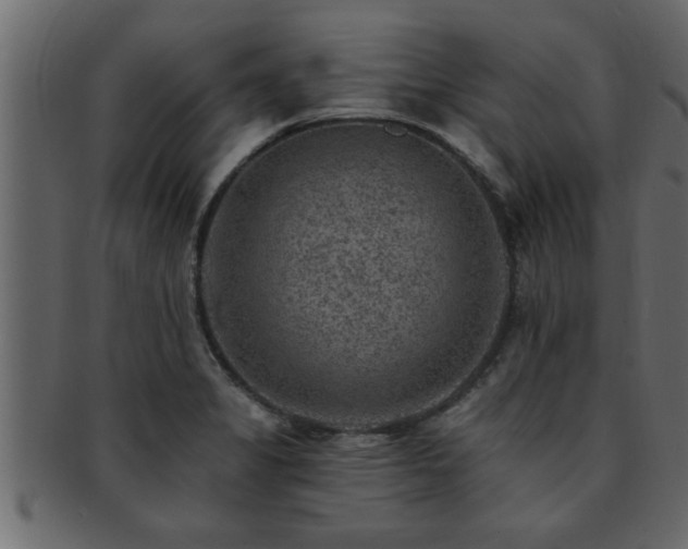 X0000093171325200709261521