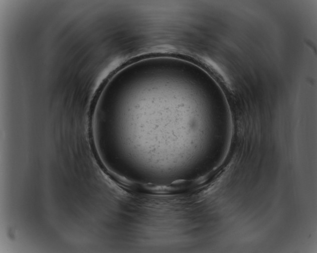 X0000093171326200709261521