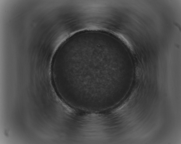 X0000093171327200709261521