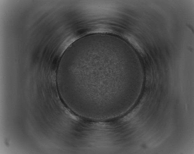 X0000093171329200709261521