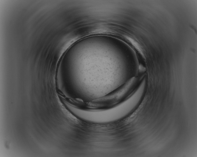 X0000093171330200709261521