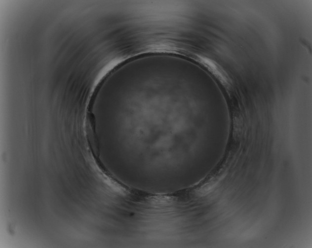 X0000093171331200709261521