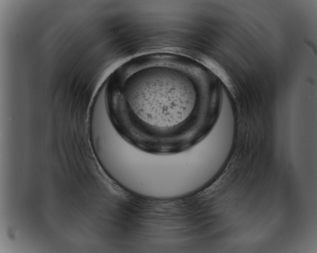 X0000093171332200709261521
