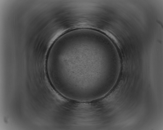 X0000093171333200709261521