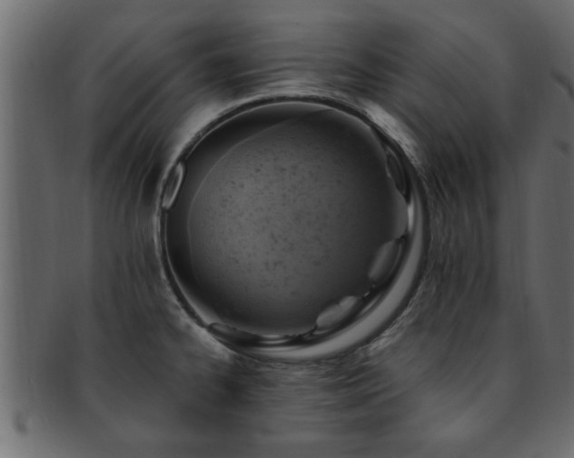 X0000093171334200709261521
