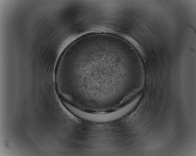 X0000093171335200709261521
