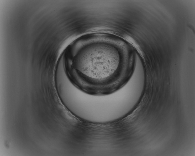 X0000093171336200709261521