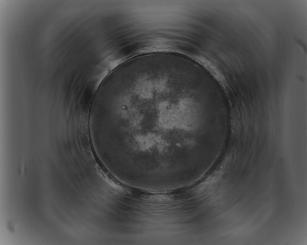 X0000093171337200709261521