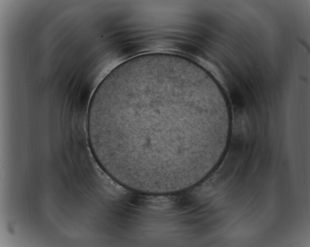 X0000093171338200709261521