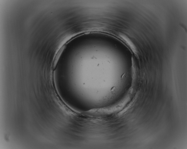 X0000093171340200709261521