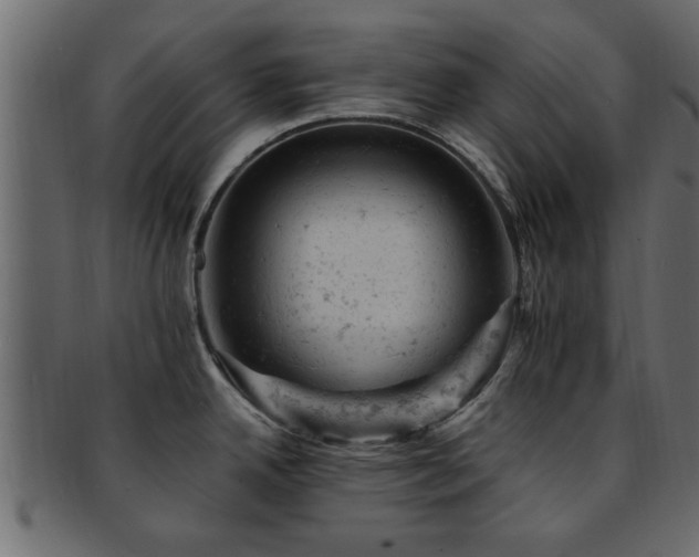 X0000093171342200709261521