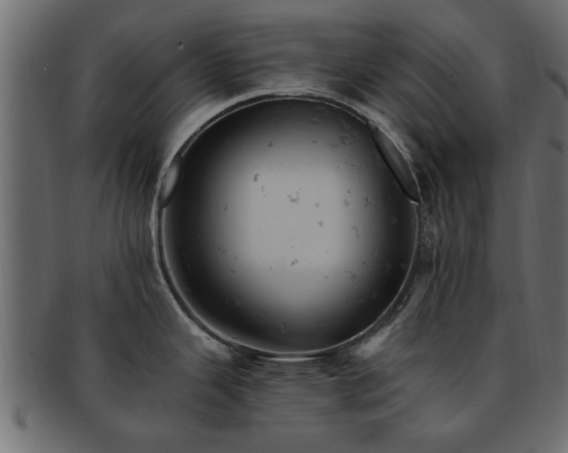 X0000093171343200709261521