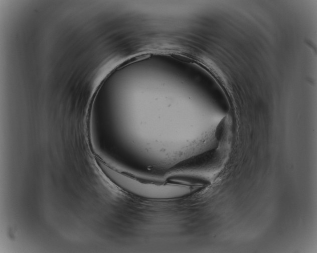 X0000093171344200709261521