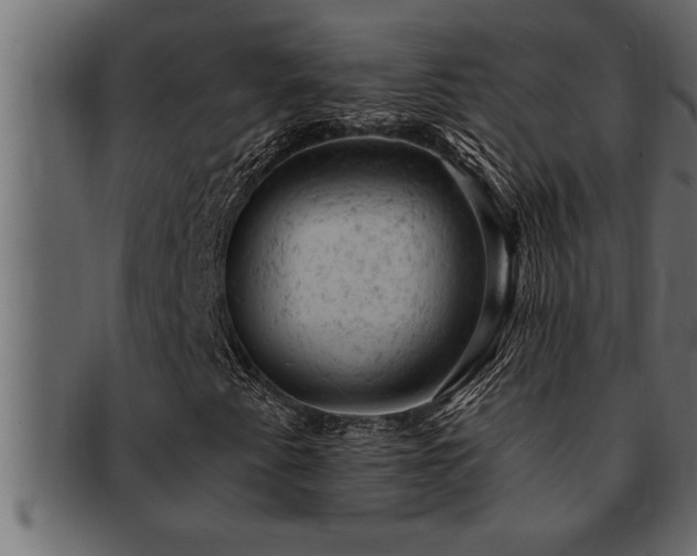 X0000093171345200709261520