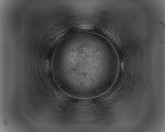 X0000093171347200709261520
