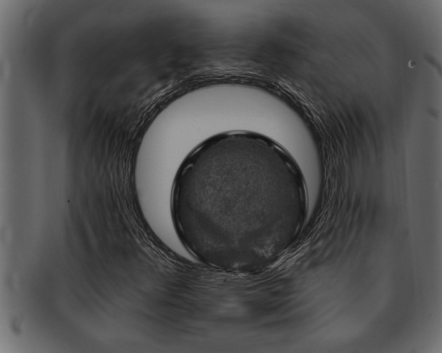 X0000093171348200709261520