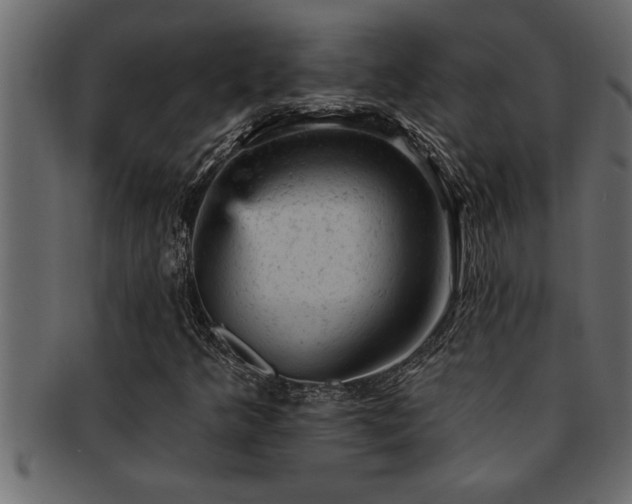 X0000093171349200709261520