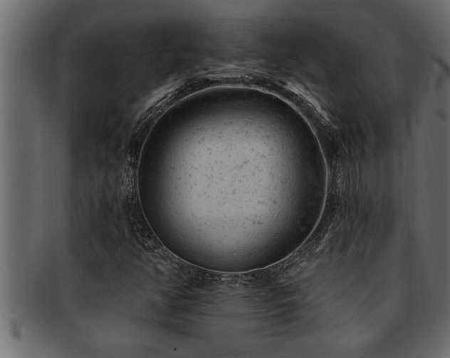 X0000093171350200709261520