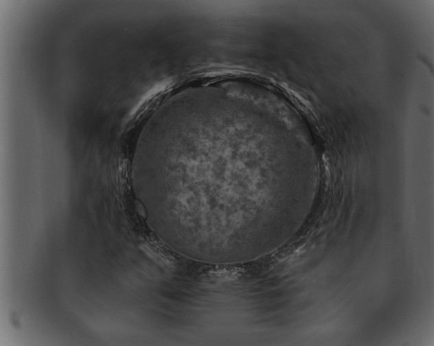X0000093171351200709261520