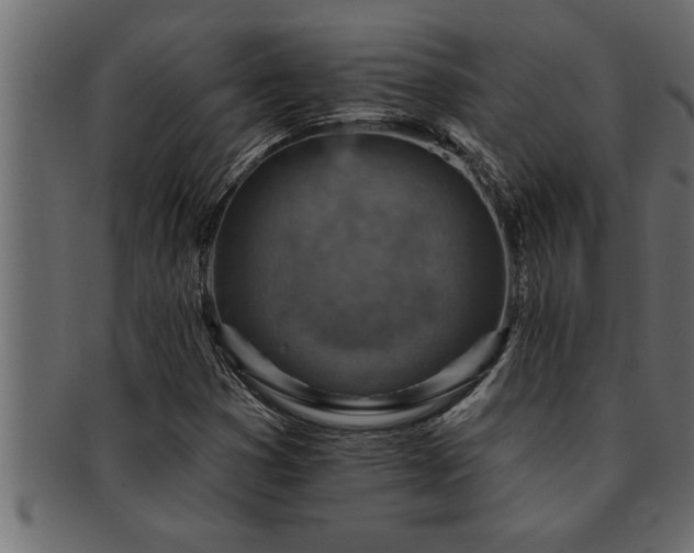 X0000093171353200709261520