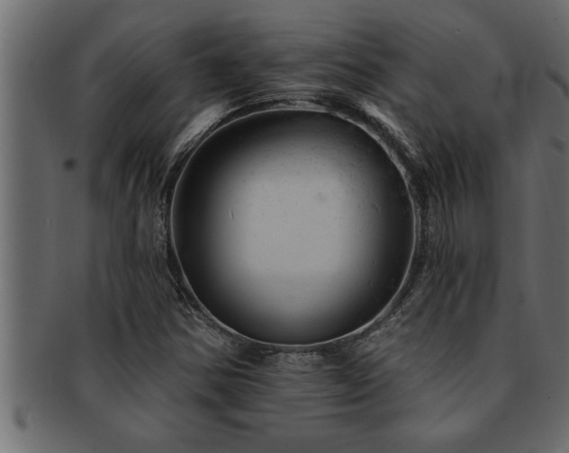 X0000093171354200709261520