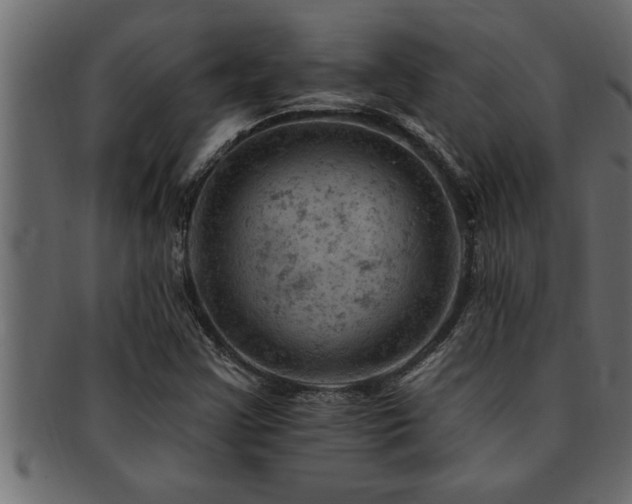 X0000093171355200709261520