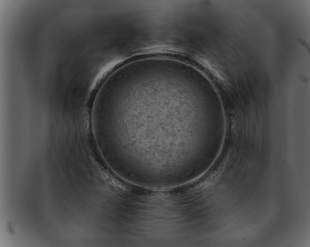 X0000093171358200709261520