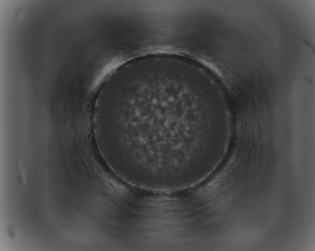 X0000093171359200709261520