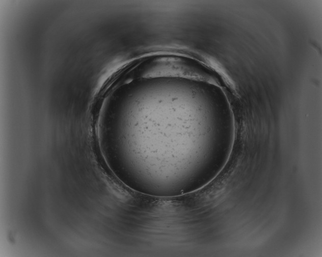 X0000093171360200709261520