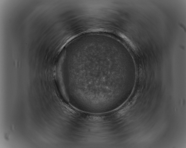 X0000093171361200709261520