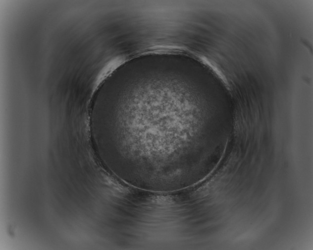 X0000093171362200709261520