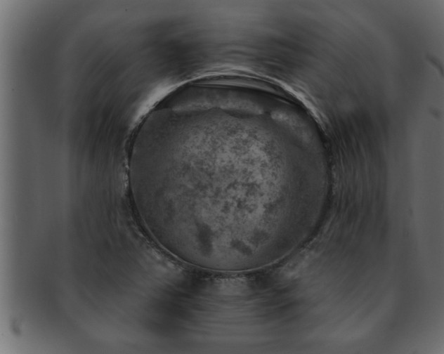 X0000093171363200709261520