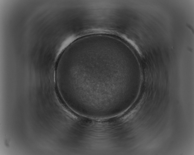 X0000093171365200709261520