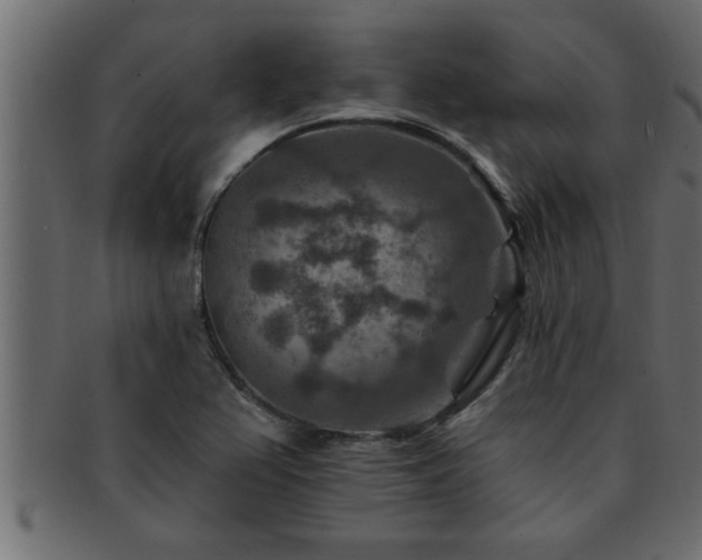 X0000093171367200709261520