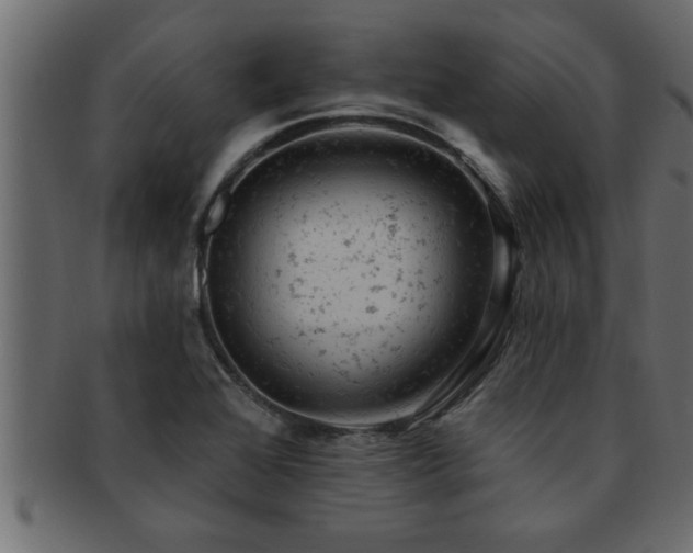 X0000093171368200709261520