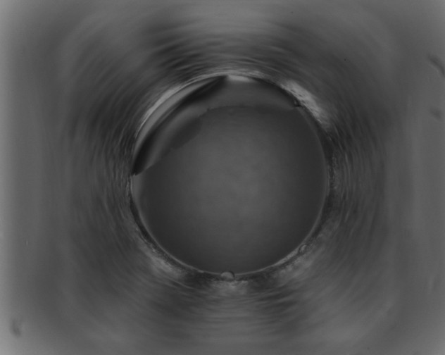 X0000093171369200709261520