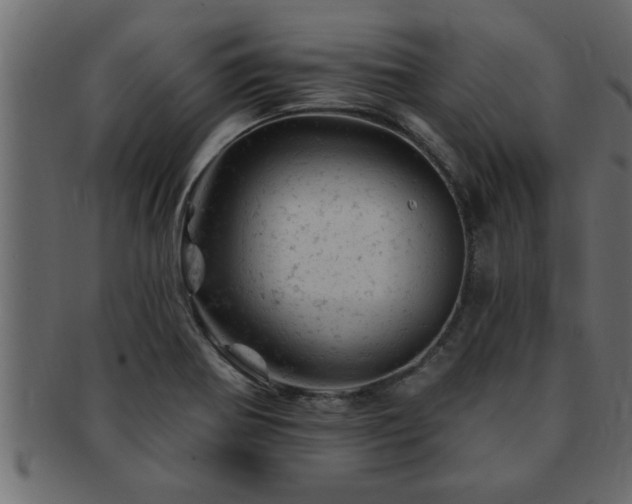 X0000093171370200709261520