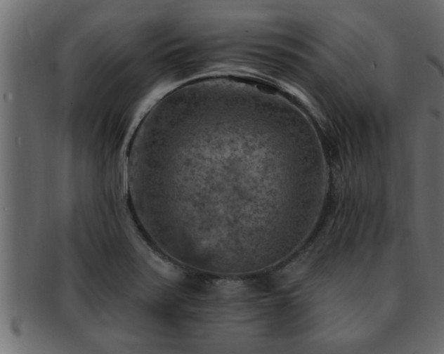 X0000093171371200709261520