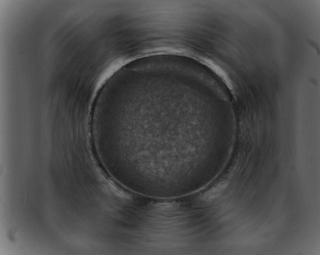 X0000093171373200709261520