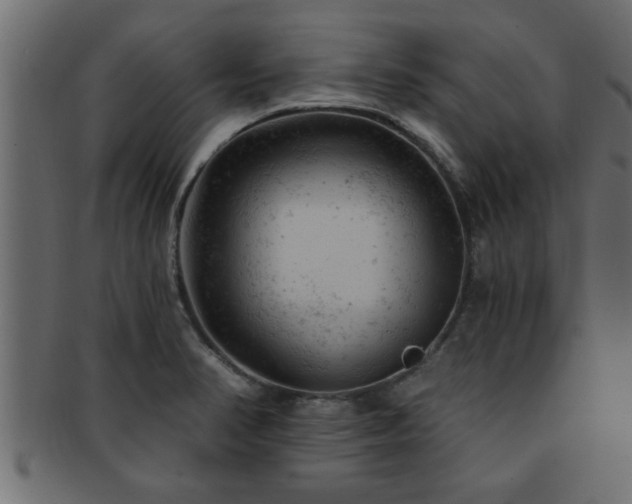 X0000093171374200709261520