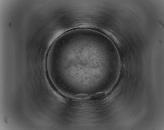 X0000093171375200709261520