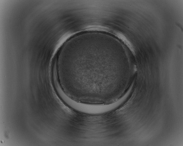 X0000093171376200709261520