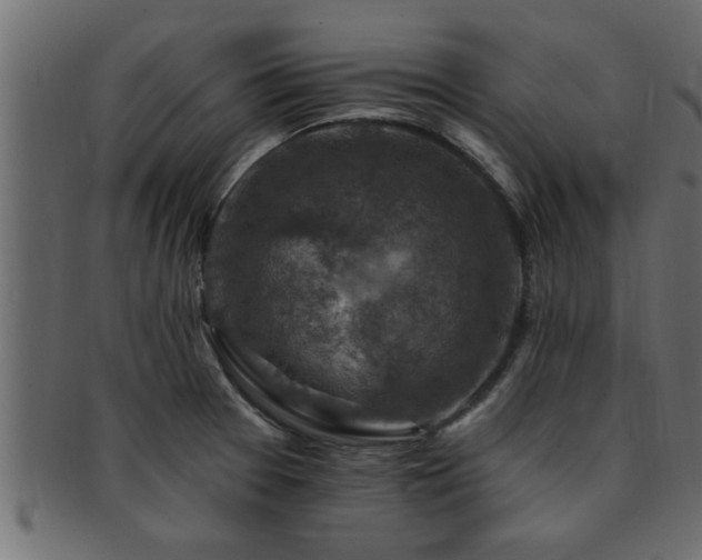 X0000093171377200709261520