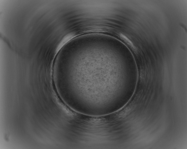 X0000093171378200709261520