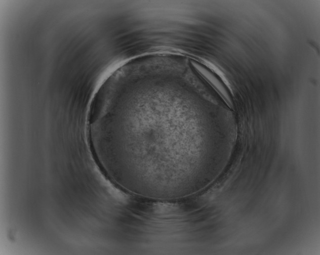 X0000093171379200709261520