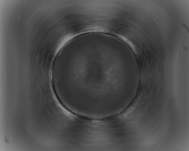 X0000093171383200709261520